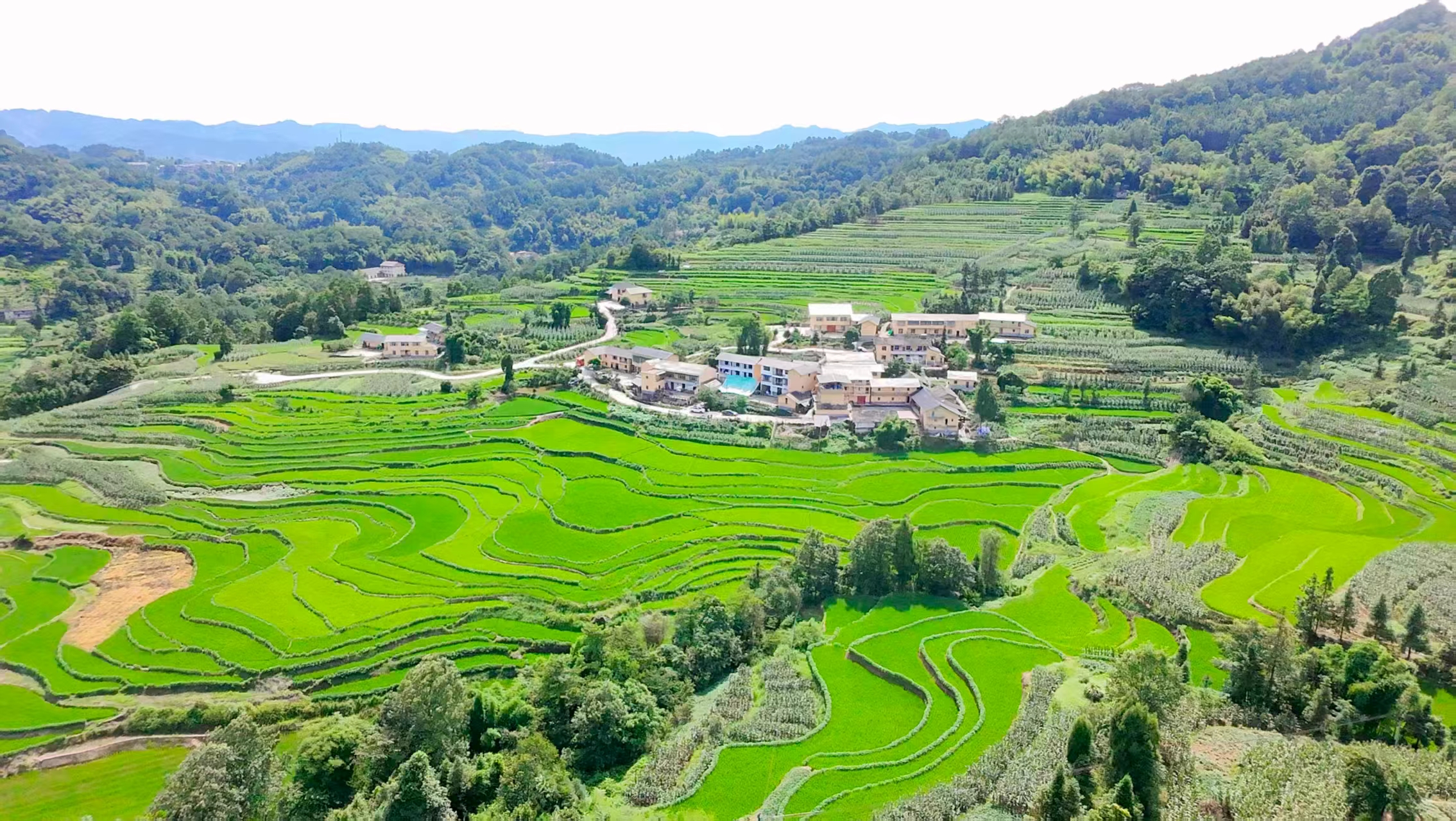 1清溪溝葉家梯田風光.jpg